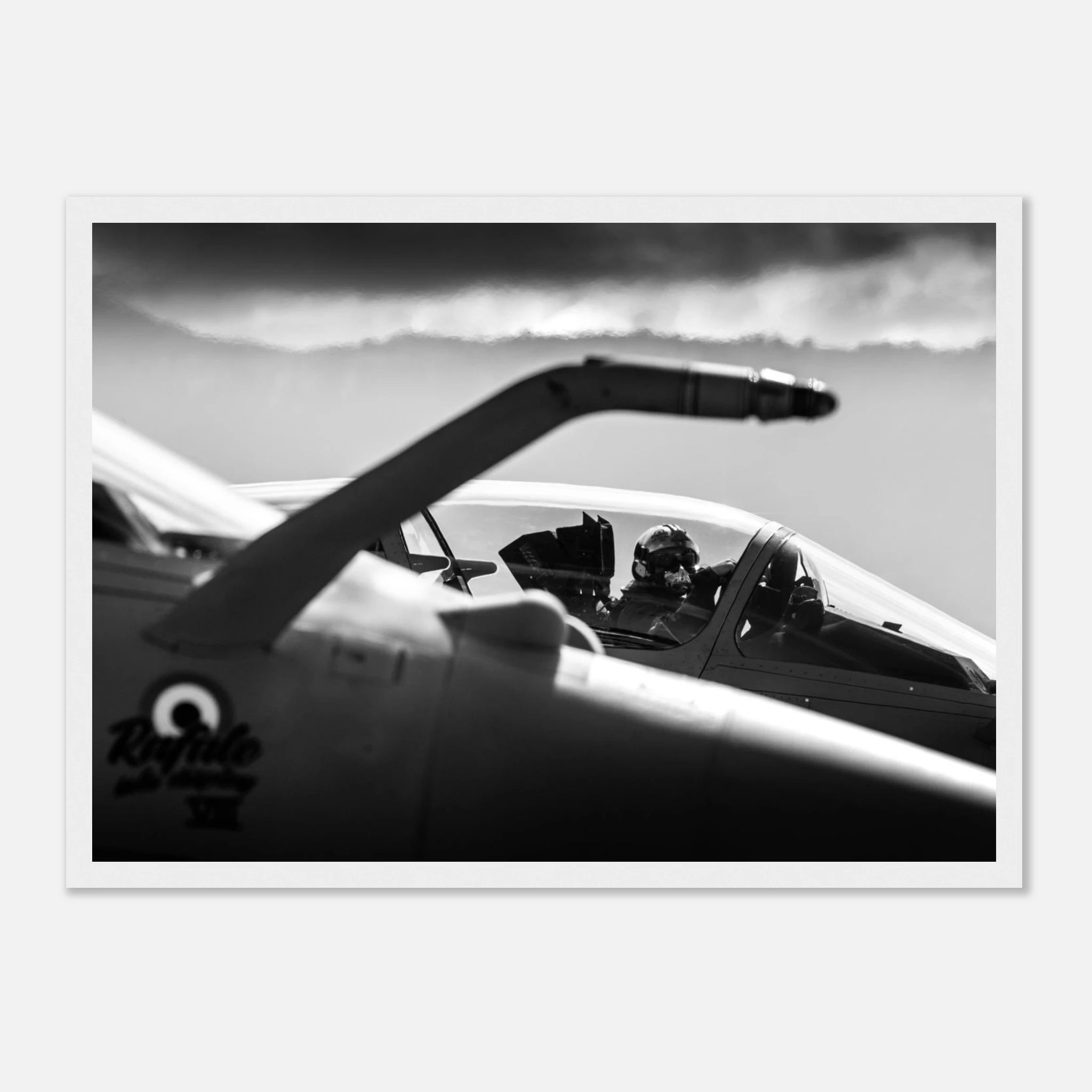 8e560603-42a5-4048-9375-ffa145dfceda