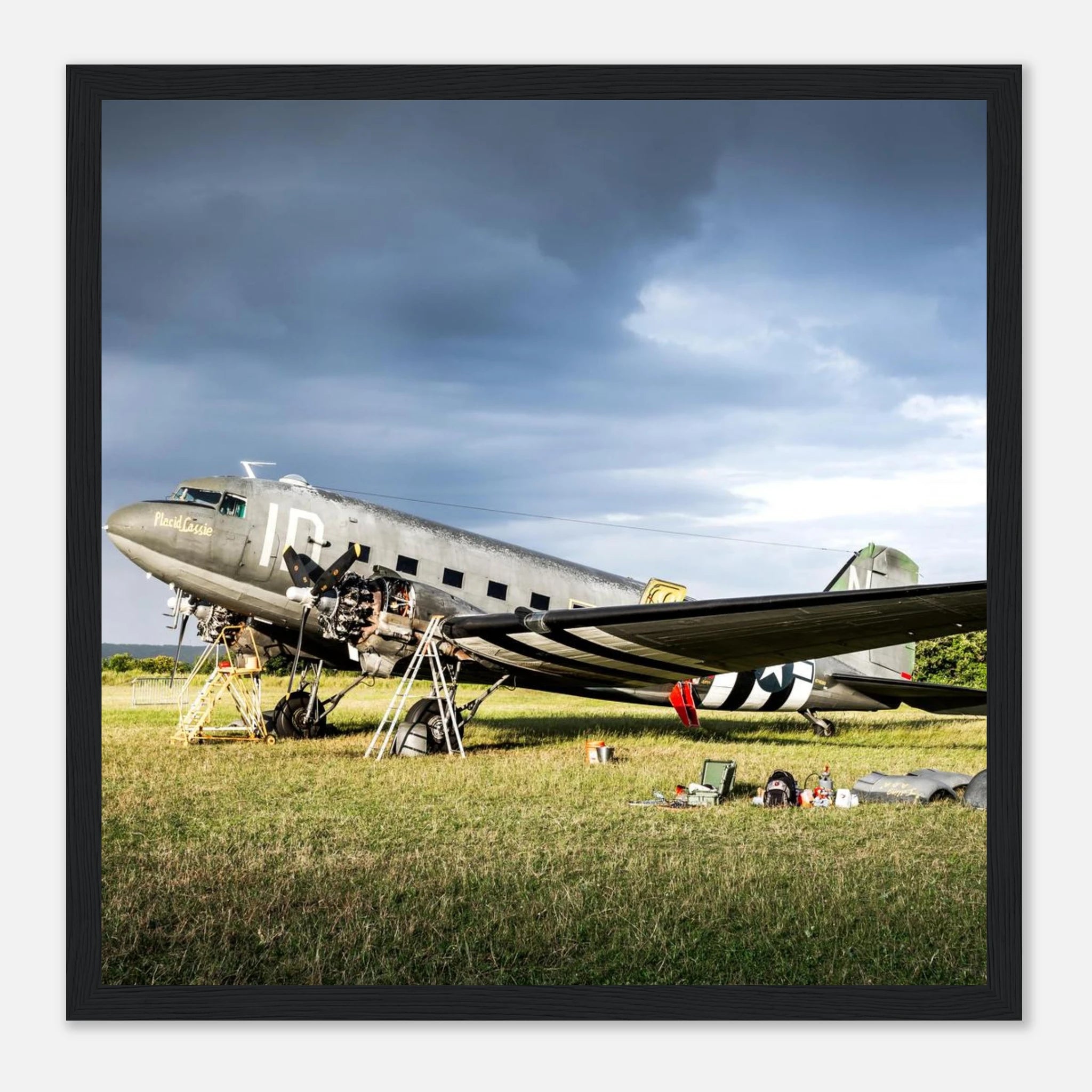 9587a1ea-aaeb-4b16-8148-b870e52fa379