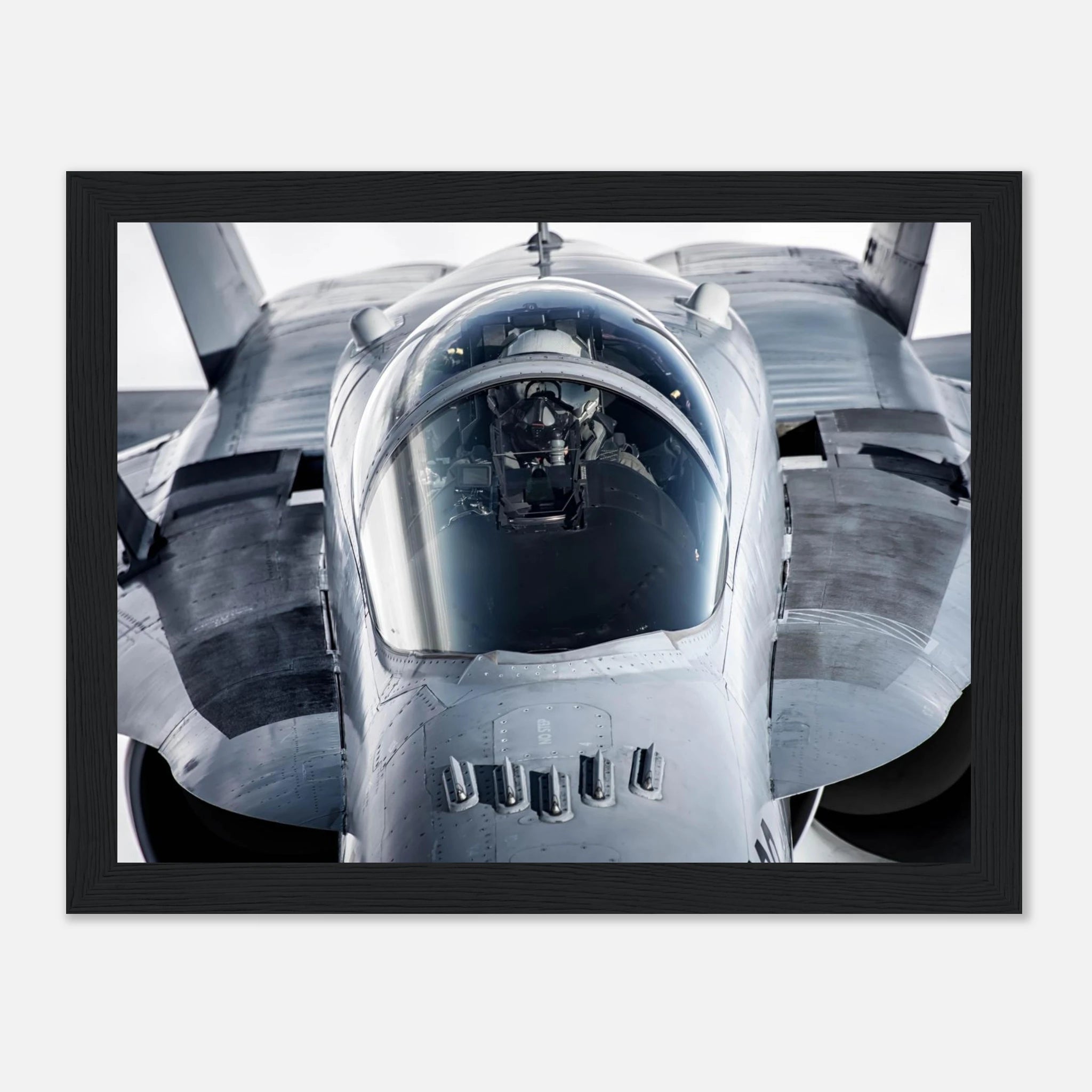 9e91c91c-ba79-48d0-982a-1475d6a861d4