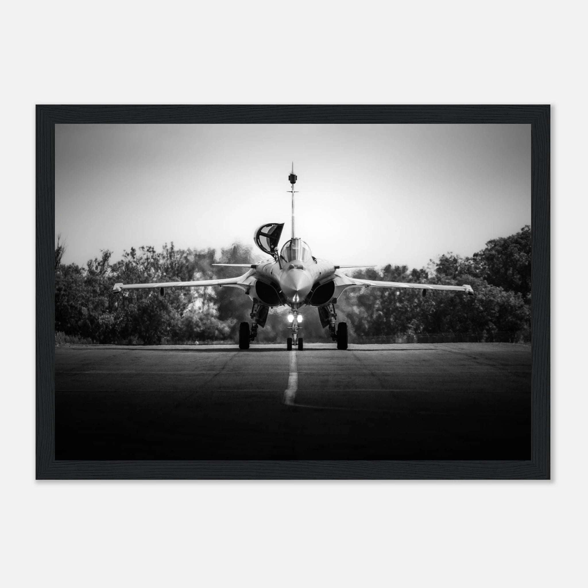 d7e25192-d3f1-4f2e-a16f-4b177f0d1951