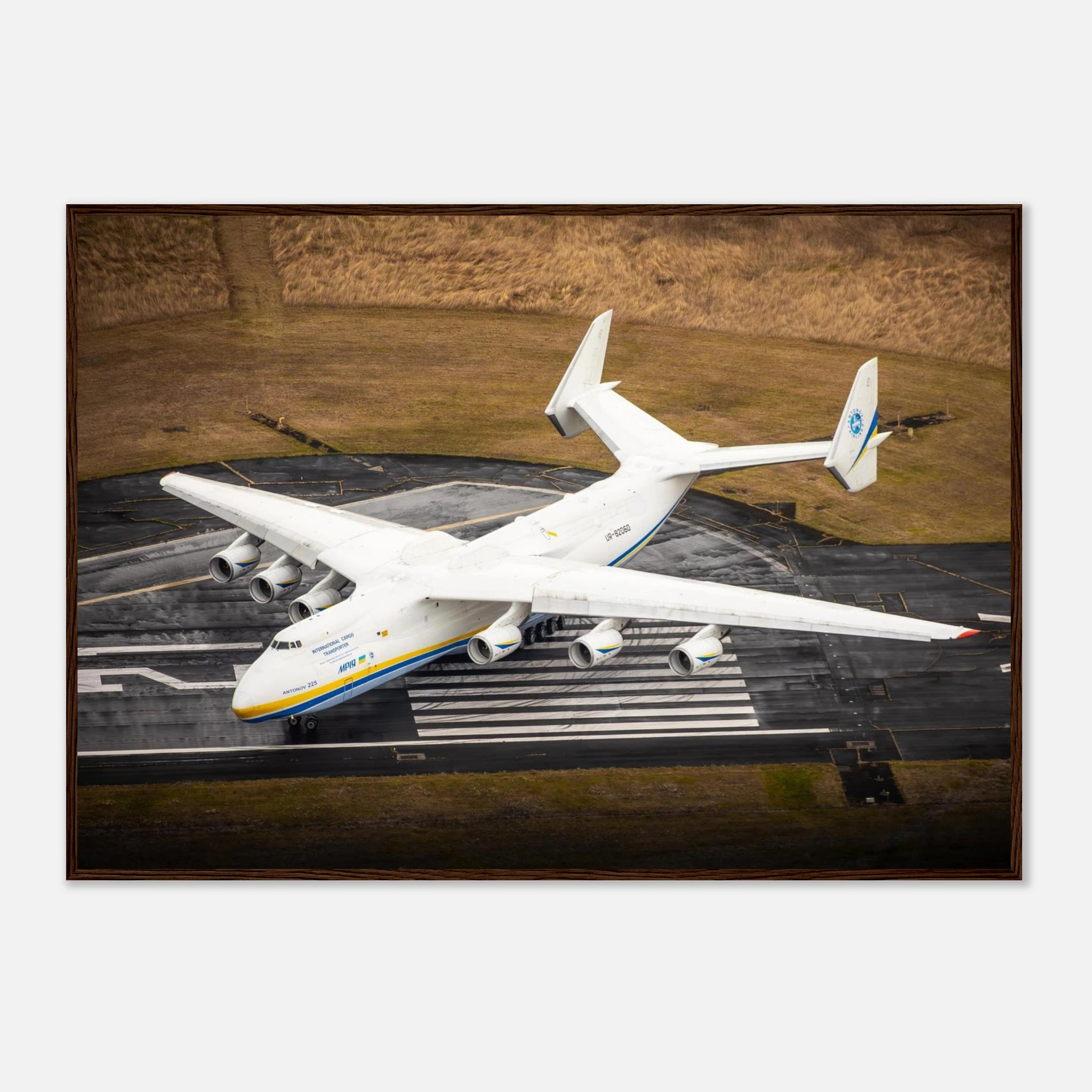 e6be51d4-f017-42f8-a632-9ddc161d8392